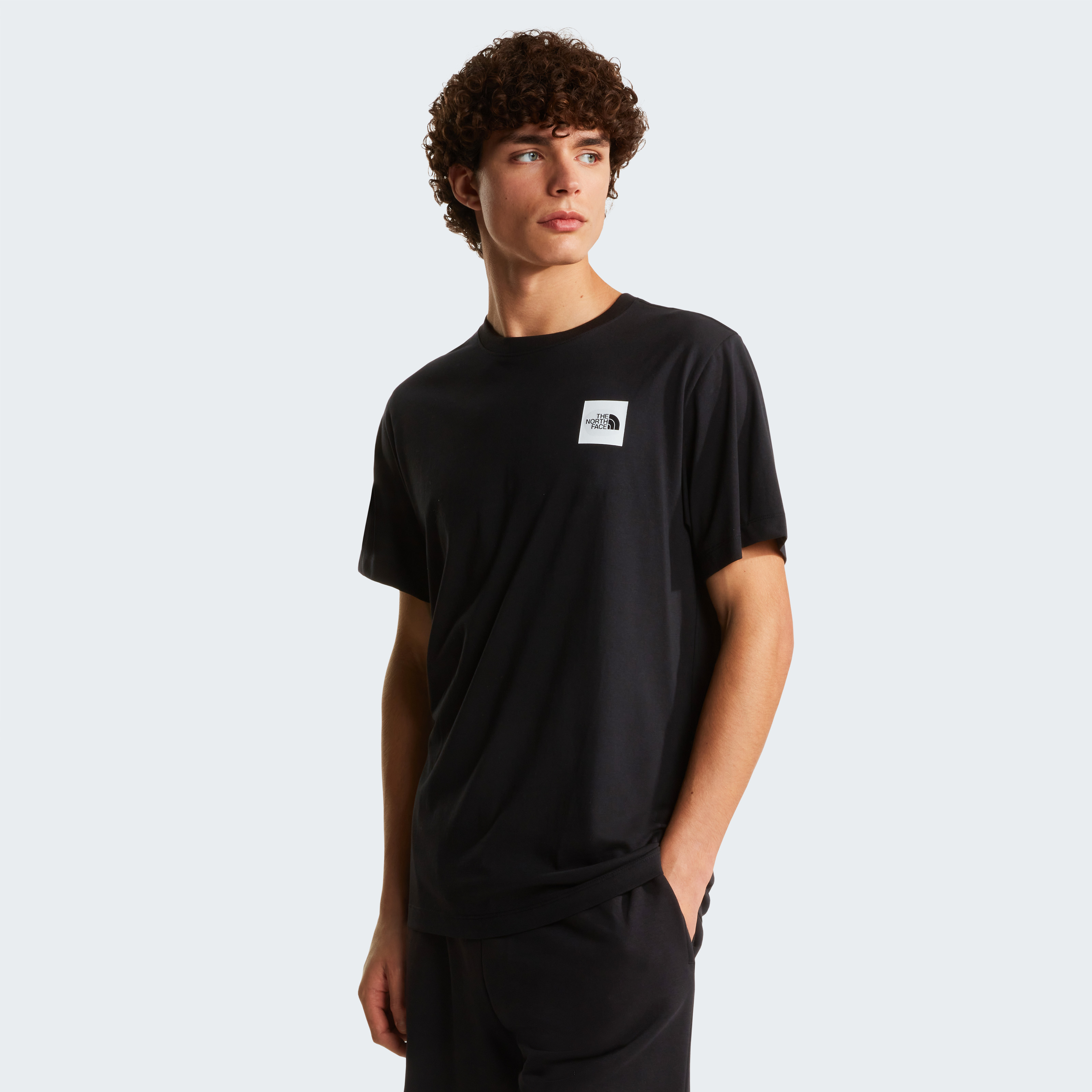 THE NORTH FACE M EVOLUTION BOX HALF DOME REGULAR SHORT NF0A8G9CJK31