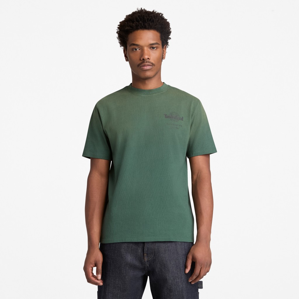 TİMBERLAND Sunfaded Back Tree Logo Graphic HW Tee TB0A5MMMA6X1