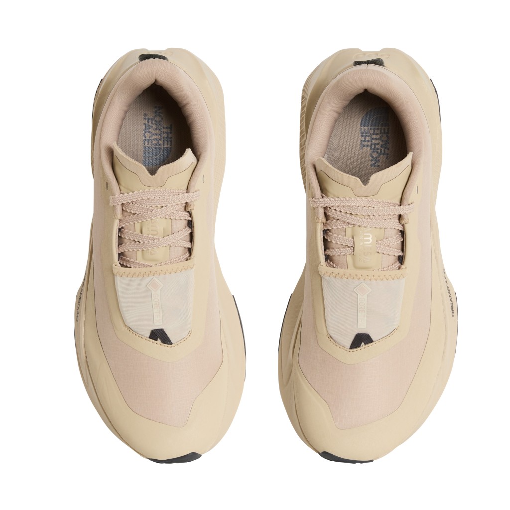 THE NORTH FACE M ALTAMESA 500 V2 GORE-TEX  NF0A8G4DU511