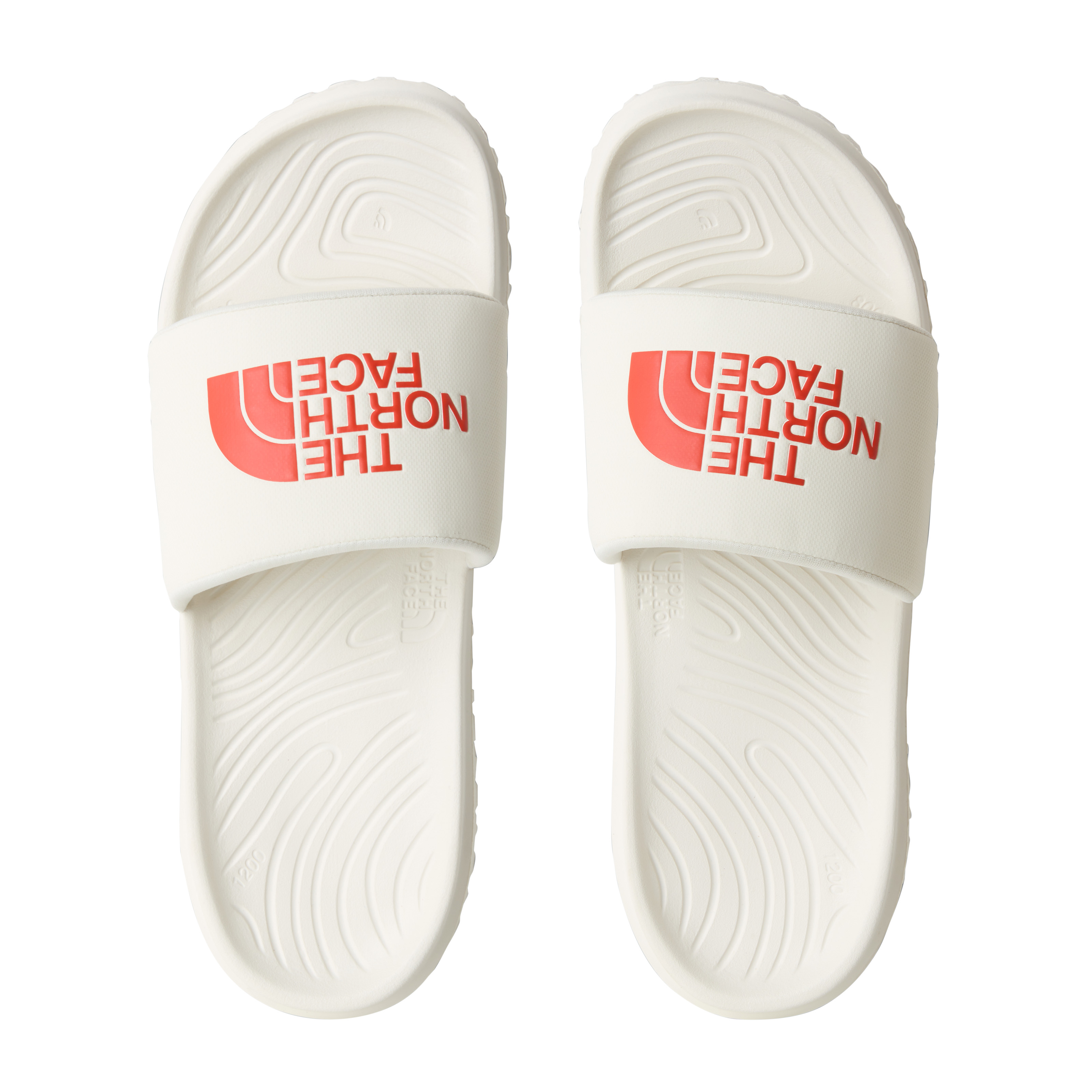 THE NORTH FACE M NEVER STOP CUSH SLIDE NF0A8A90L7I1