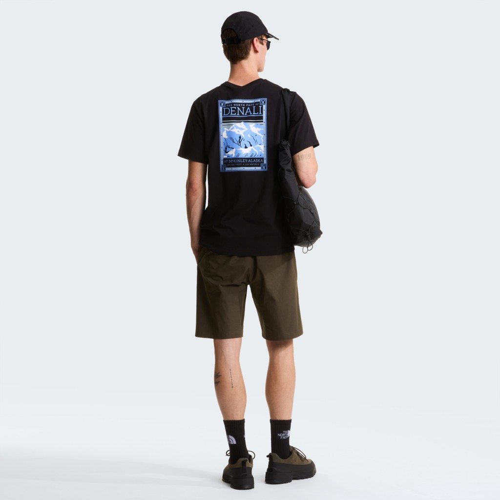 THE NORTH FACE M NORTH FACES REG SS TEE-GRAPHIC NF0A8GUWJK31