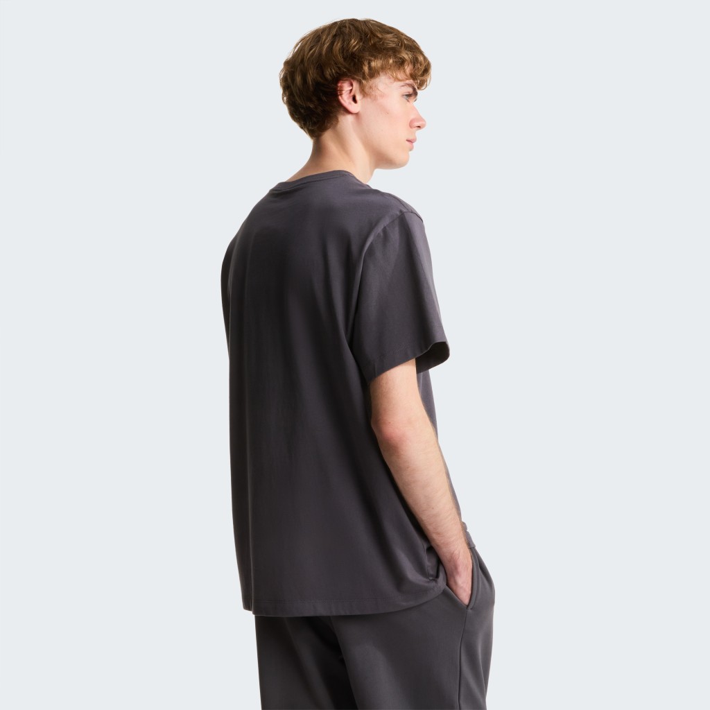 THE NORTH FACE M ESSENTIAL CENTER LOGO RELAXED SHORT SL NF0A8GQERHI1