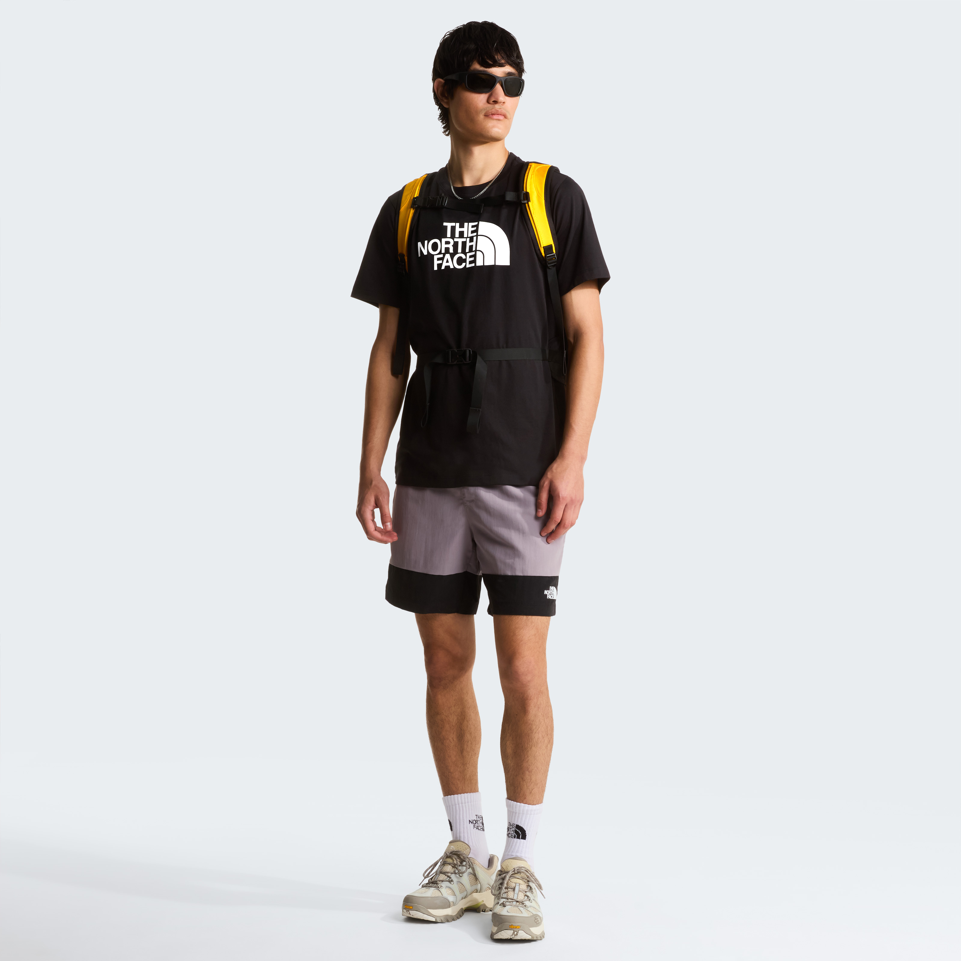THE NORTH FACE M EVOLUTION HALF DOME REGULAR SHORT SLEE NF0A8B6JKY41